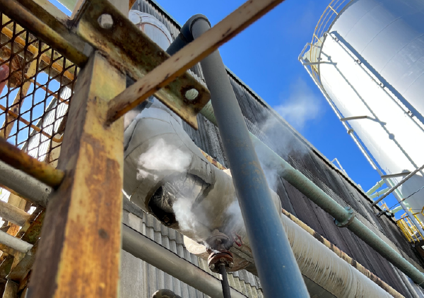 蒸気配管の現状把握と更新でCO2削減！劣化リスクと改善策